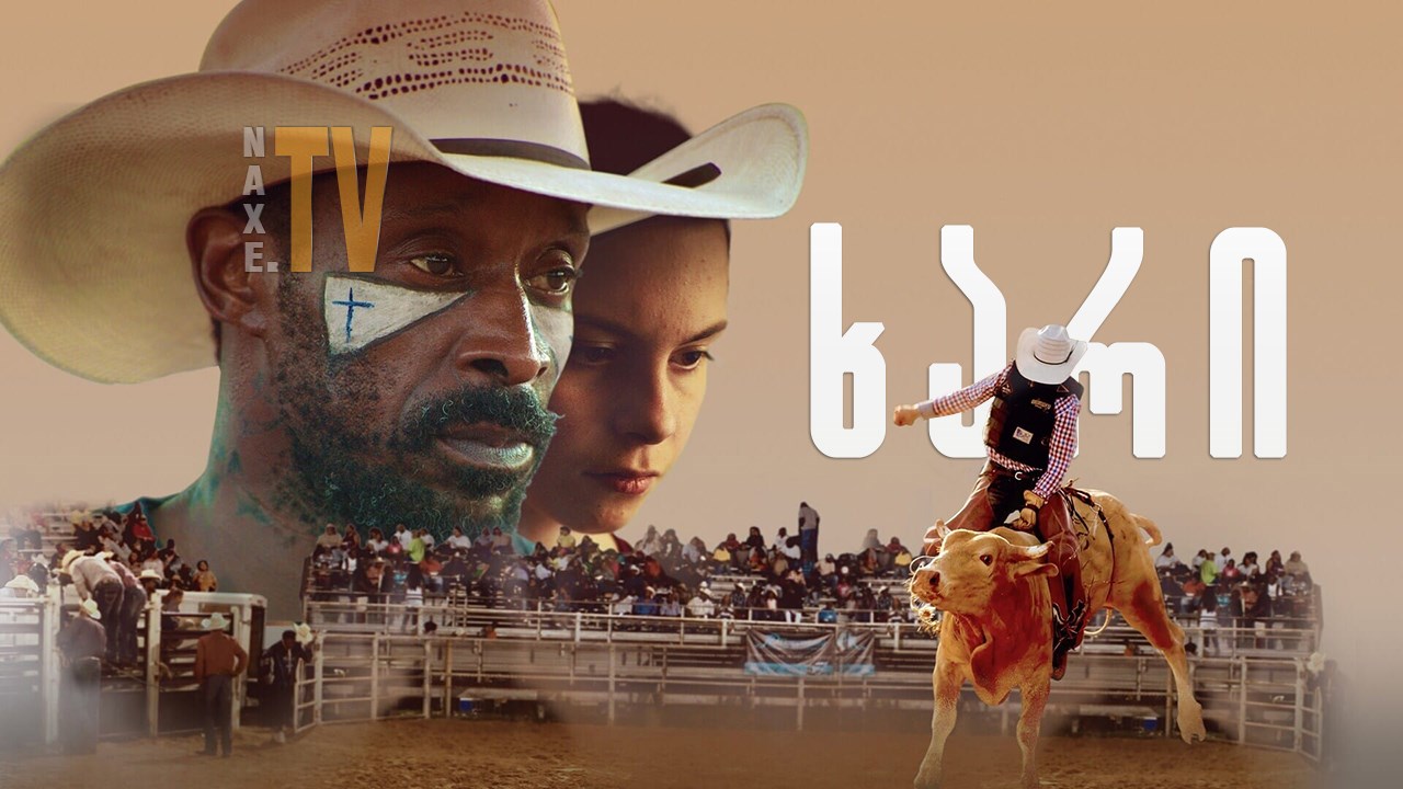ხარი / Bull
