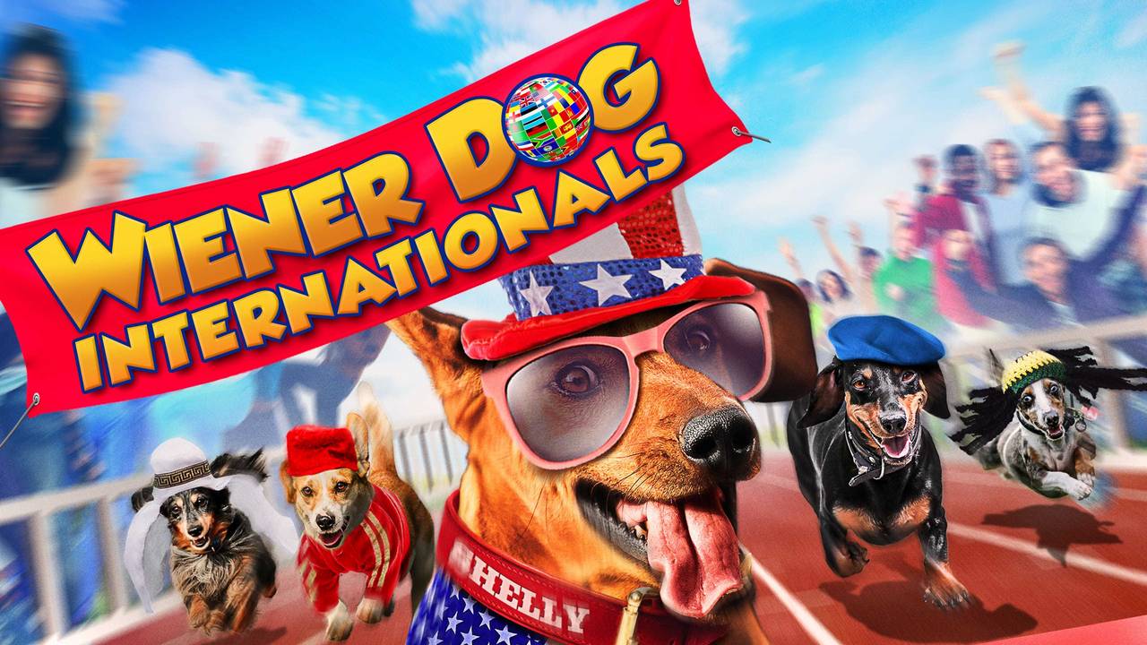 ძაღლების საერთაშორისო შეჯიბრი / Wiener Dog