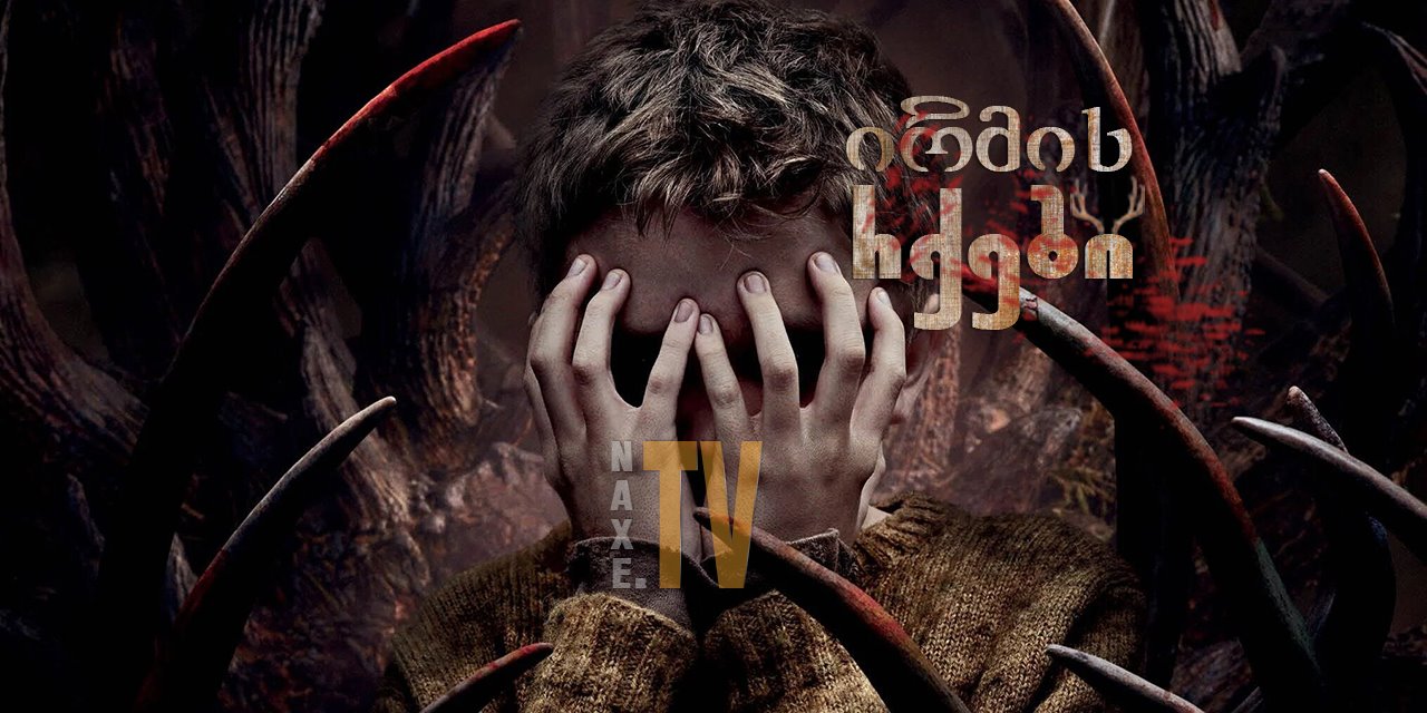 ირმის რქები / Antlers