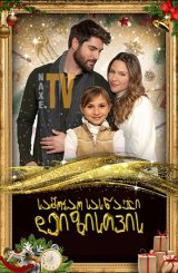 საშობაო სასწაული დეიზისთვის / A Christmas Miracle