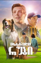 მხსნელი რუბი / Rescued by Ruby