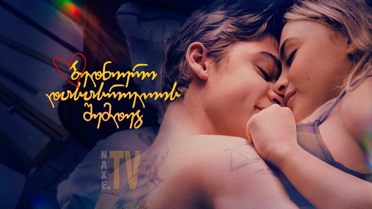 ბედნიერი დასასრულის შემდეგ / After Ever Happy