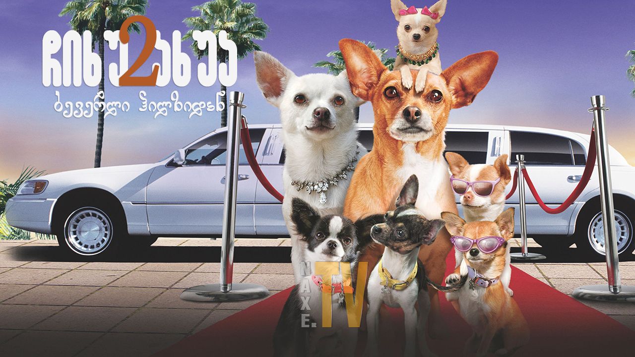 ჩიხუახუა ბევერლი ჰილზიდან 2 / Beverly Hills