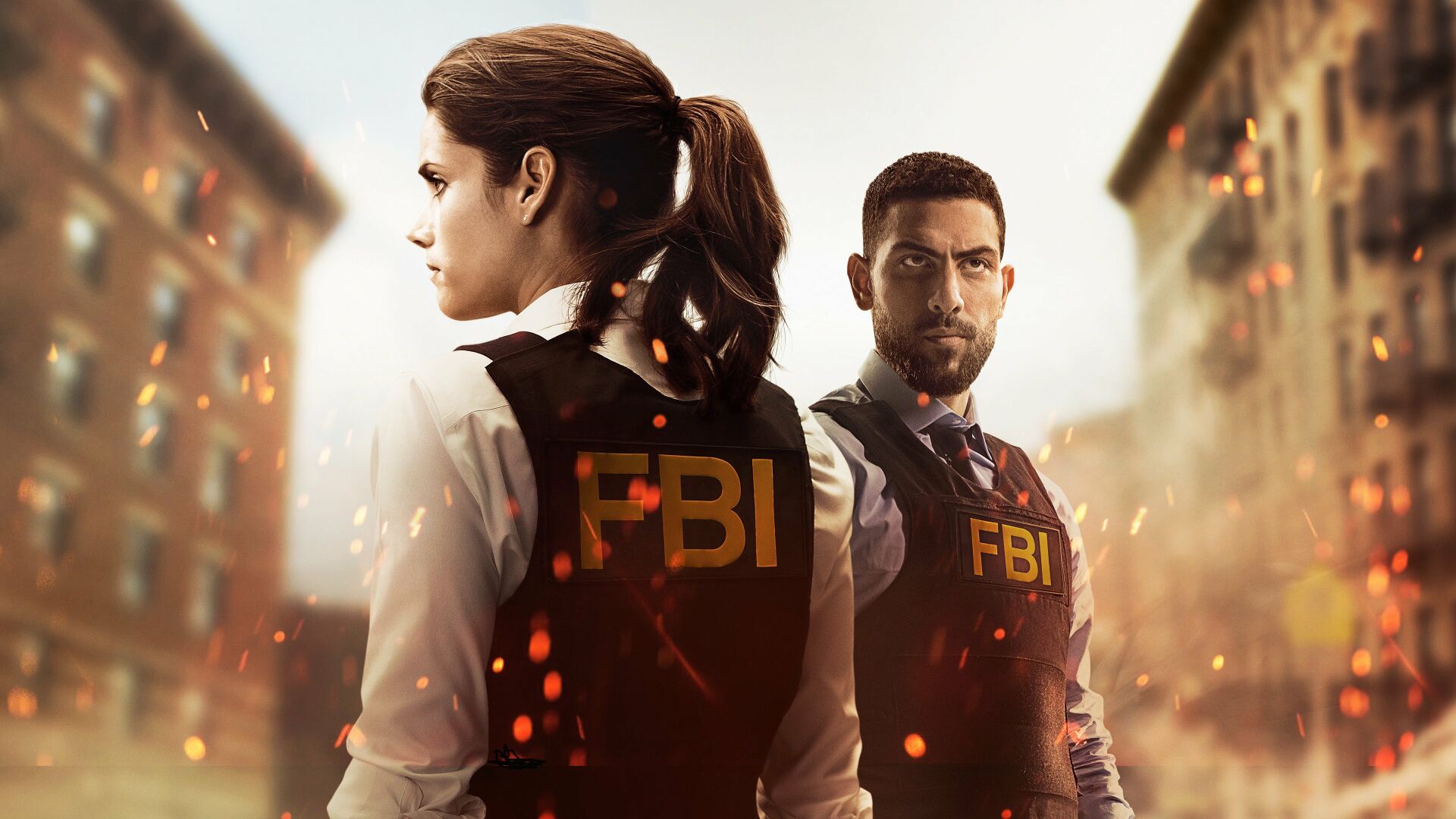 გამოძიების ფედერალური ბიურო / FBI