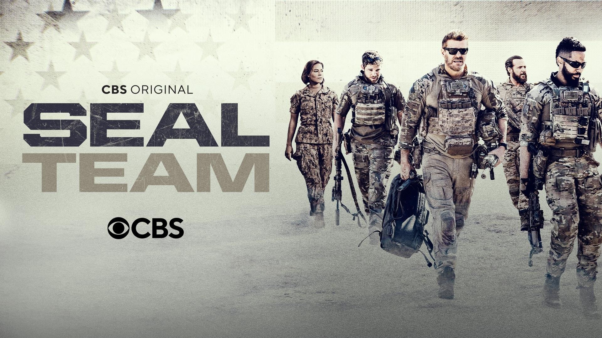 ზღვის ლომები / Seal Team