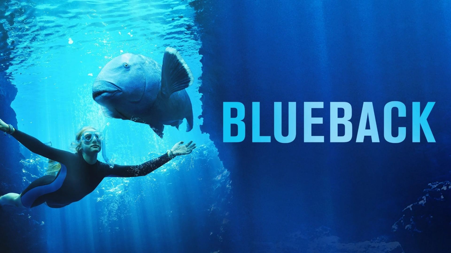 ლურჯი ბეკი / Blueback