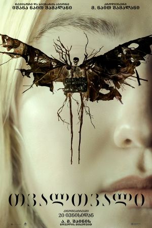თვალთვალი / The Watchers