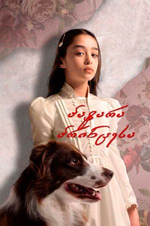 პატარა პრინცესა / Little Big Heart (Taçsiz