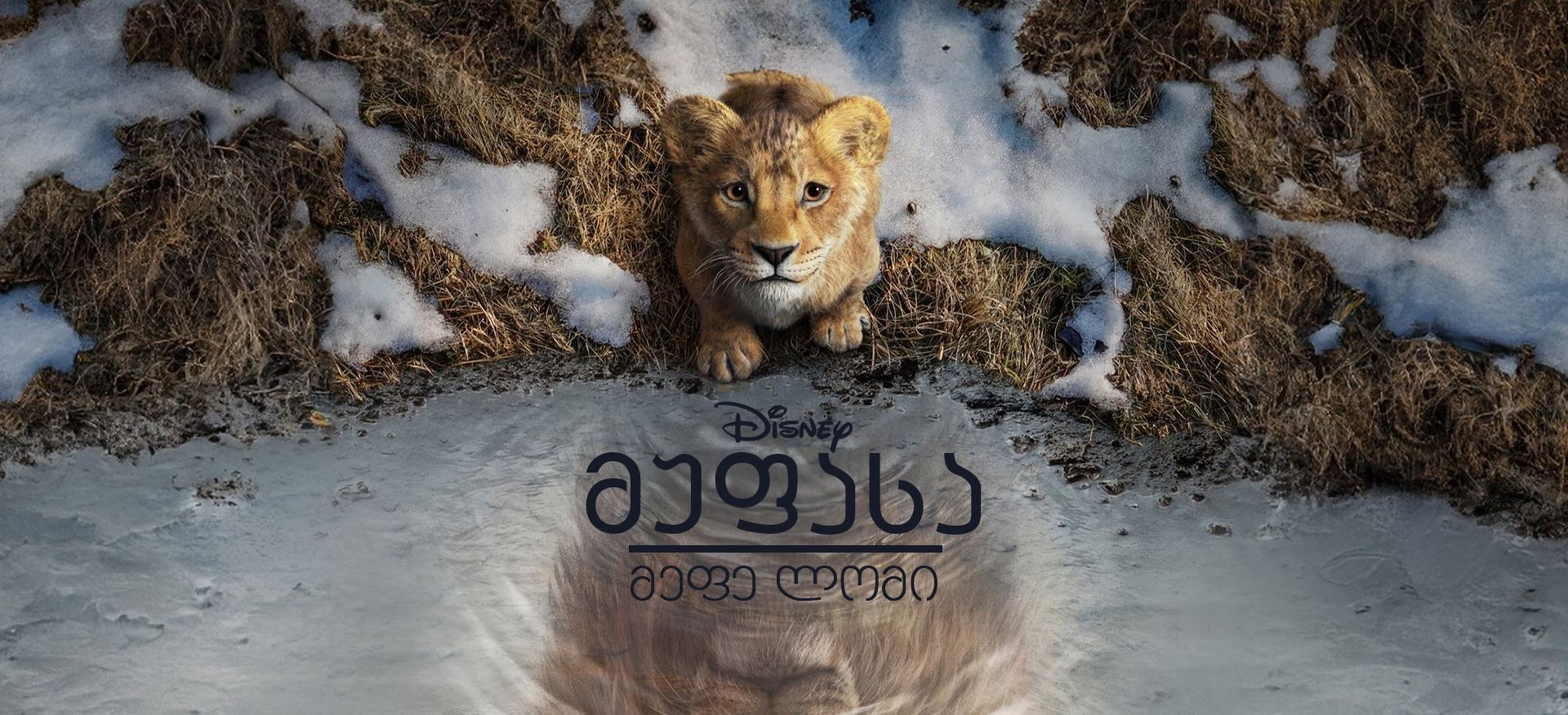 მუფასა: მეფე ლომი / Mufasa: The Lion King
