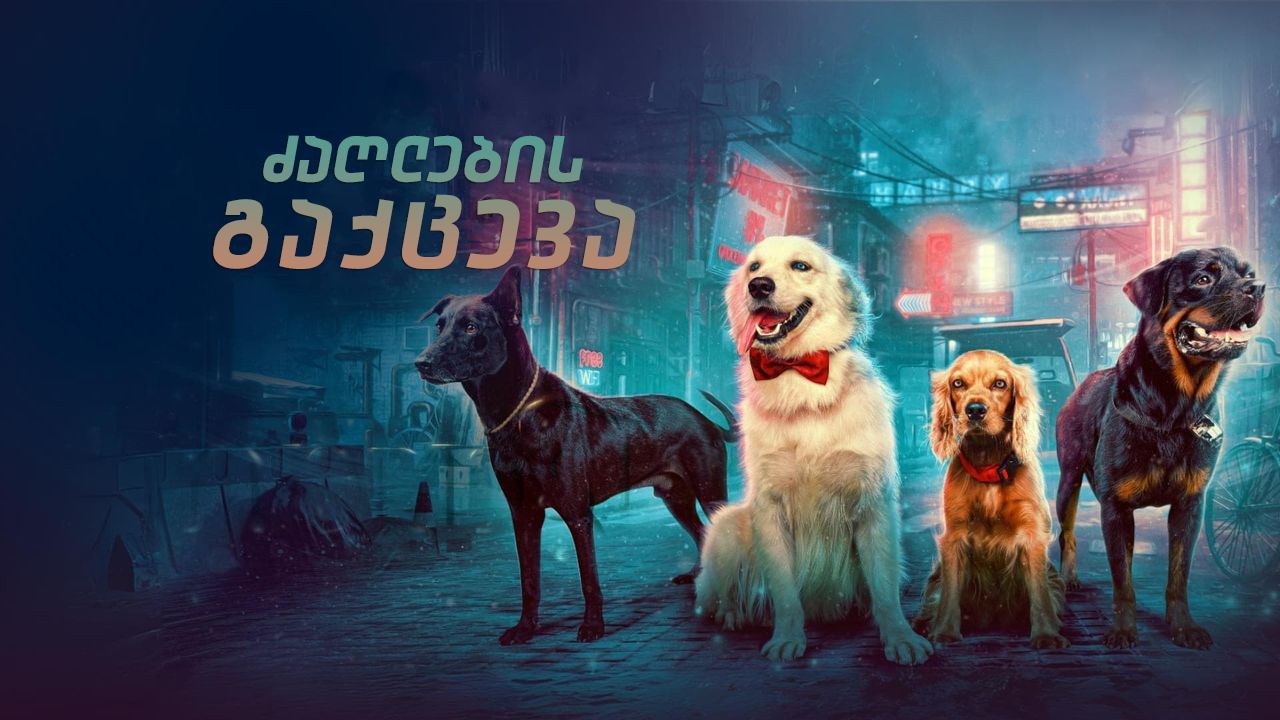 ძაღლების გაქცევა / Valatty