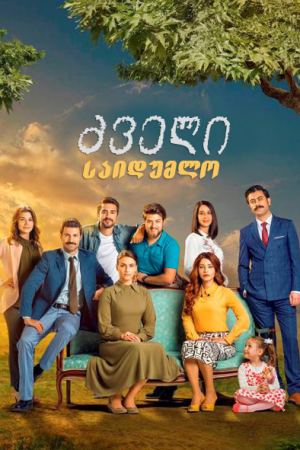 ძველი საიდუმლო / Cinarın Golgesinde
