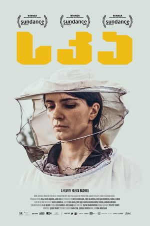 სკა / Hive (Zgjoi)