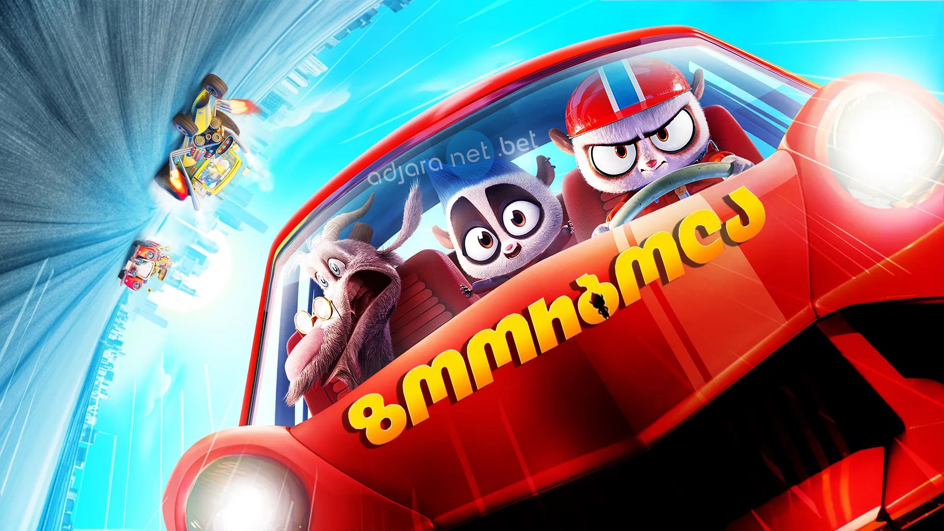 ზოორბოლა / Rally Road Racers