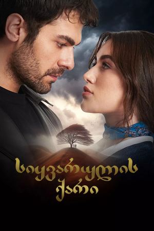 სიყვარულის ქარი / Rüzgarli Tepe