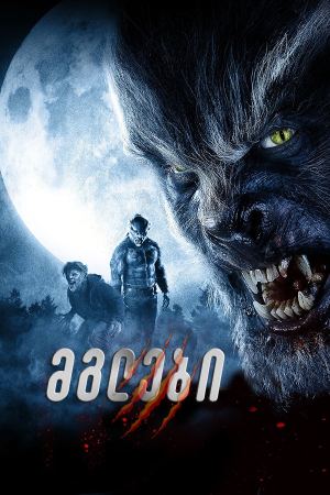 მგლები / Wolves