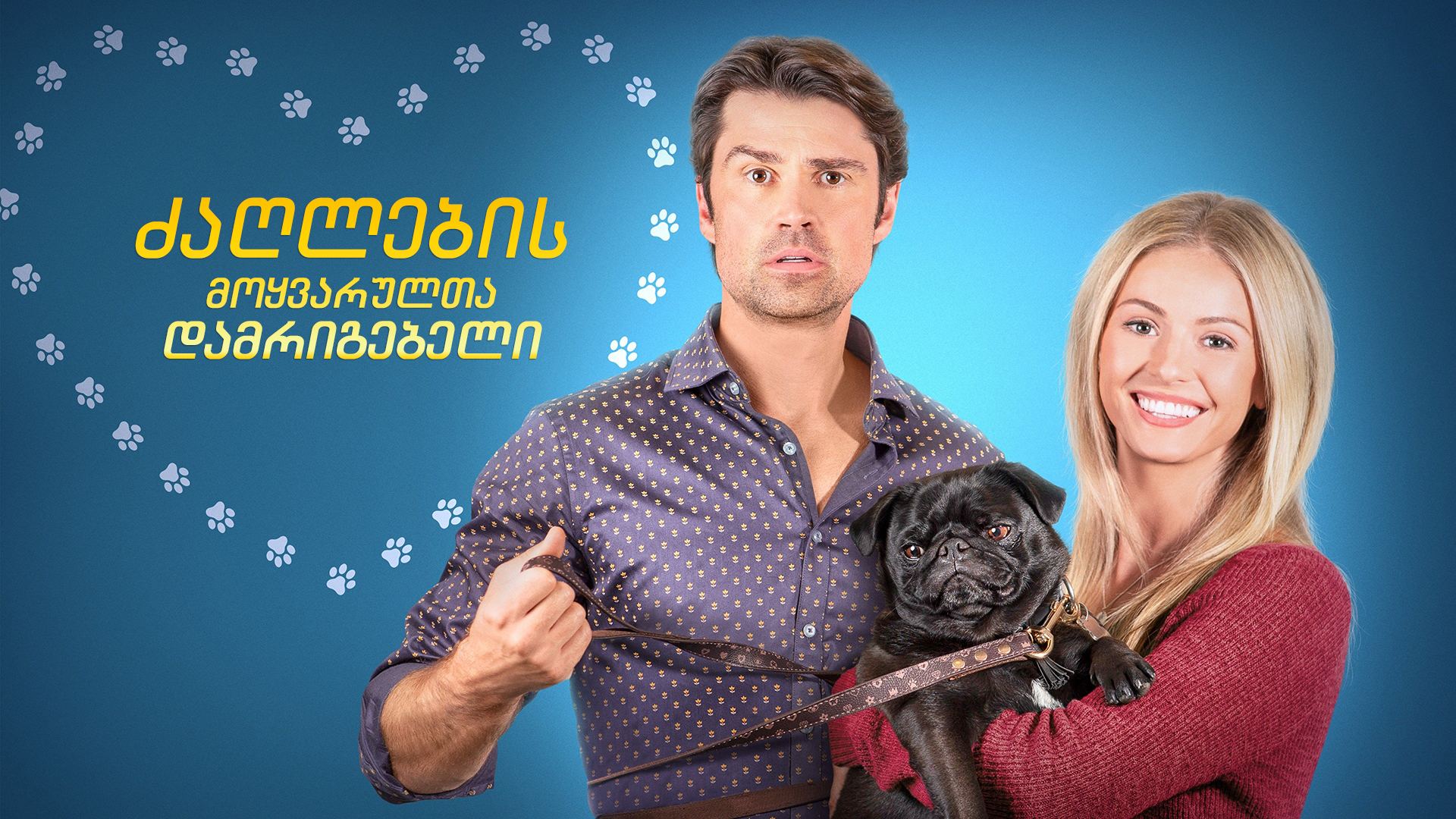 ძაღლების მოყვარულთა დამრიგებელი / The Dog Lover's