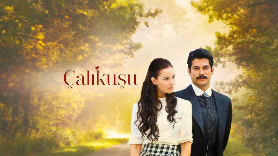 ნარჩიტა / Çalikusu