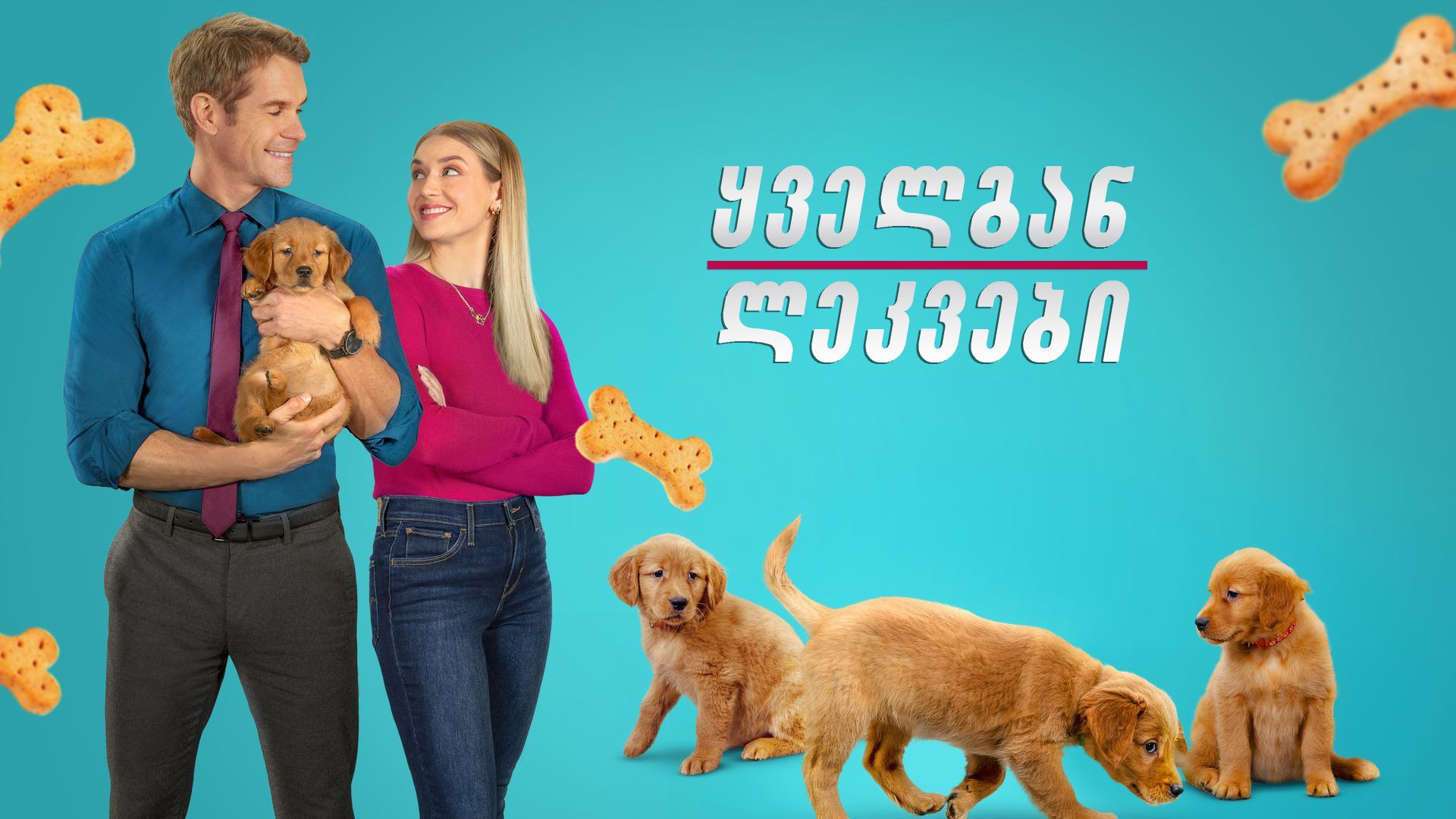 ყველგან ლეკვები / Everything Puppies