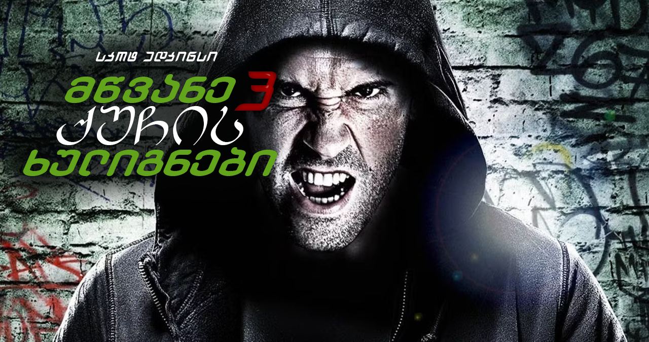 მწვანე ქუჩის ხულიგნები 3 / Green Street Hooligans